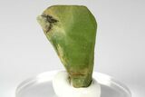 Green Olivine Peridot Crystal - Pakistan #185267-1